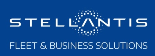 FleetBusinessSolutions_Logo